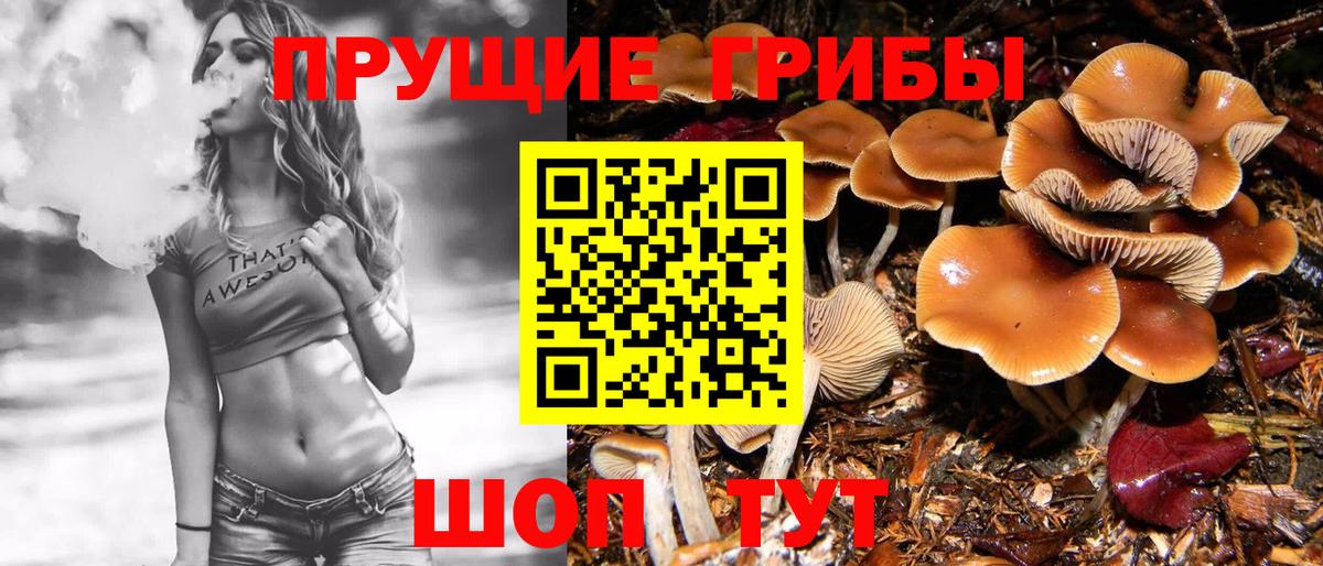 Галлюциногенные грибы MAGIC MUSHROOMS  Вход с VPN  Галлюциногенные грибы прущие грибы  Рассказово 
