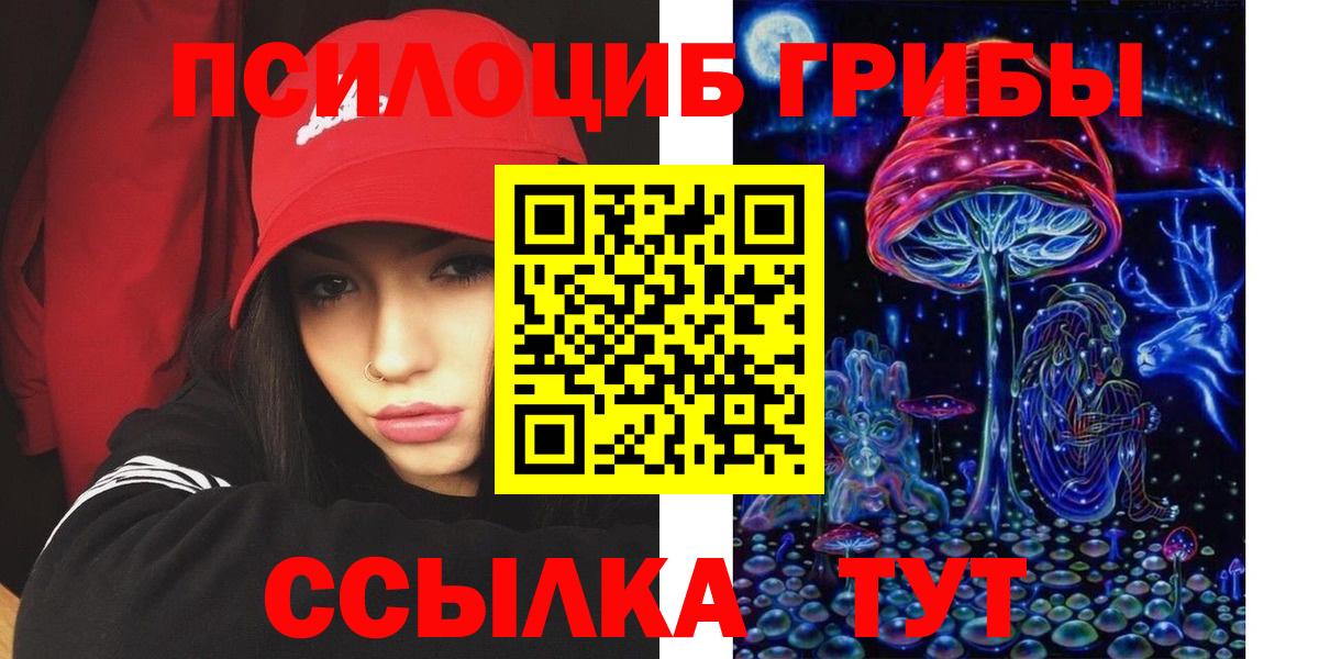 Псилоцибиновые грибы Psilocybe Рассказово